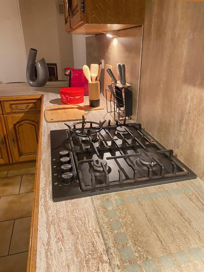 Appartement « Chez Falco » Vue Sur Le Chateau Schirmeck Zewnętrze zdjęcie