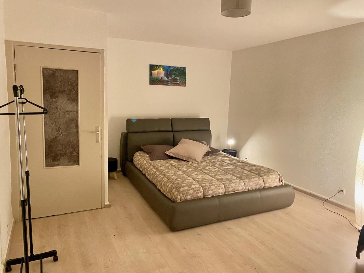 Appartement « Chez Falco » Vue Sur Le Chateau Schirmeck Zewnętrze zdjęcie